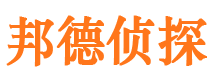 桑日侦探公司